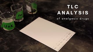 Thin Layer Chromatography [upl. by Irab431]