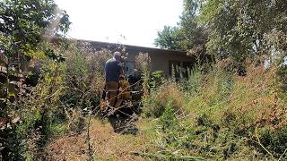 Tall Grass ASSAULT On This OVERGROWN Backyard [upl. by Nickolai]