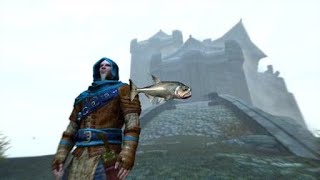 SKYRIM  VAMPIRE FISH location walkthrough commentary [upl. by Noir]