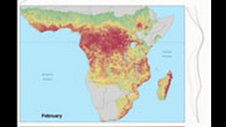 Fluctuations Triggers Ebola Virus Spillover [upl. by Ahcilef]