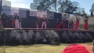 West Coast World Martial Arts Hollister Demo Team Artichoke Festival 2016 [upl. by Neils]