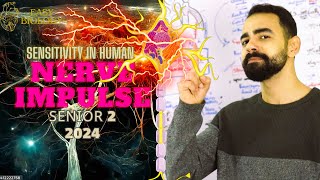 بيولوجي تانية ثانوي  BIOLOGY SENIOR 2 😍  Nerve Impulse ⚡️🧠 Synapse [upl. by Ecirtak839]