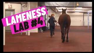 Lameness Lab 4 Is this horse lame [upl. by Weitzman]