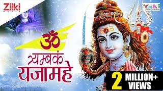 ॐ त्र्यम्बकं यजामहे सुगन्धिं पुष्टिवर्धनम्  OM TRYAMBAKAM YAJAMAHE  SHIV MANTRA [upl. by Wylma]