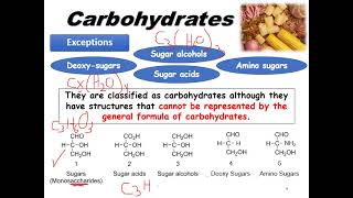 Lecture 5Carbohydrates IPhytochemistry IPharmD amp BSc [upl. by Nosirrah]