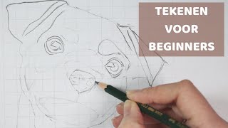 Tekenen voor beginners DE RASTERMETHODE stap voor stap tutorial [upl. by Lehman]