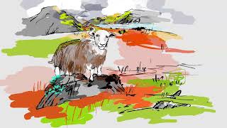 one Herdwick [upl. by Evelyn579]