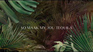 Demi Lee Moore  Maak My Jou Tequila Lirieke Video [upl. by Eremaj]