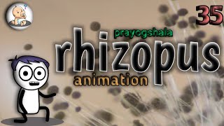 RHIZOPUS STOLONIFER PRACTICALY AND RHIZOPUS ANIMATION IN HINDI [upl. by Ahsetan]