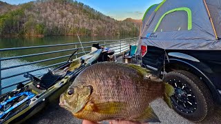 Catching JUMBO BLUEGILL Deep in the Mountains Catch Cook Camp [upl. by Attenaz737]