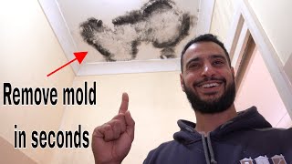 How to remove and kill mold  mould [upl. by Llener]