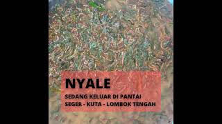 Bau Nyale [upl. by Oribelle]