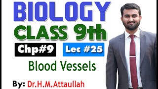 Blood Vessels  Arteries  Capillaries and Veins  Chapter 9  9th class Biology  Lec 25 [upl. by Frazier974]