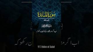 Quran surah Al Maida ayah 9093 quranicword voiceofsalaf23 surah shorts short voiceofsalaf23 [upl. by Heck]