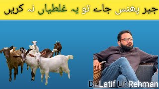 clostridial myositis in goat Dr latif Ur Rehman [upl. by Delmer807]