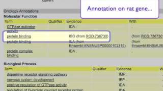 Introduction to Biomedical Ontologies 2 Anatomy of an Ontology Annotation part 1 [upl. by Ojillek956]