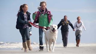 Urgemütliches Ostsee Ferienhaus mit Hund in Kappeln ad Schlei [upl. by Erinn66]