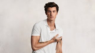 Shawn Mendes Endlich er selbst [upl. by Stroup]