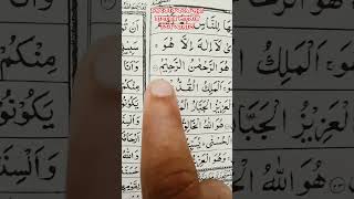 সুরা হাশরের শেষের তিন আয়াত। surah hashor last 3 ayat beautiful tilawat nurerlight viral like [upl. by Yziar956]