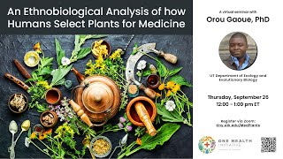 An Ethnobiological Analysis of How Humans Select Medicinal Plants [upl. by Ocnarfnaig]