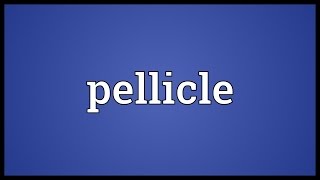 Pellicle Meaning [upl. by Stein]