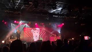 Basil Brush Butlins Adults 80s Reloaded Adults Weekend live music Performances crazy Ashley [upl. by Hayotal880]