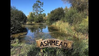 Ashmead introduction [upl. by Odnumde533]