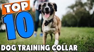 Top 10 Best Dog Training Collars Review In 2024 [upl. by Goddart]