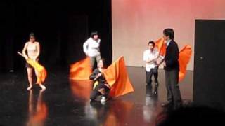 Macleans College Flag Dance 2009 [upl. by Uyerta]