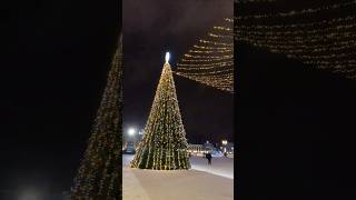 Interesting Stories about the Christmas Tree [upl. by Eilyah]