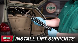 How To Install Tailgate Lift Supports On Your Vehicle [upl. by Forrester]