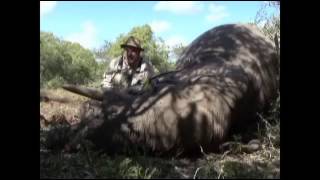 Elephant Shot in Mozambique with Traditional Archery Gear [upl. by Daugherty578]