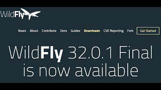 Wildfly Application Server Installation [upl. by Gnol756]