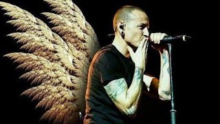 Chester Bennington A tribute [upl. by Maude982]