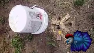 How to Trap Voles and Moles in Your Yard [upl. by Kidder]