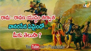 What Happened To Vanaras After Ramayan  శ్రీరామ పట్టాభిషేకం తర్వాత వానరసేన ఏమైందో మీకు తెలుసా  CC [upl. by Adnahsar]