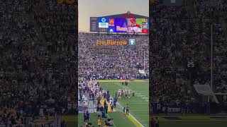 Burreaux still gets the love in LSU Tiger Stadium burrow lsu tigers bengals collegefootball [upl. by Nibor]