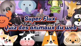 Nolwenn Gorgoni  Le quiz des animaux du web Super Flux  Couleur 3 [upl. by Malloy505]