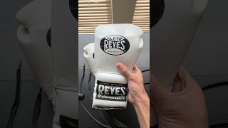 My Custom Boxing Gloves [upl. by Irrep986]