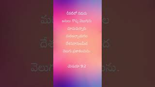 Todays Gods Word 101  చీకటిలో నేనున్నపుడు hosannaministries2023song song [upl. by Cagle]