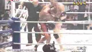 Sergei Kharitonov vs Alistar Overeem K1 [upl. by Acinonrev]