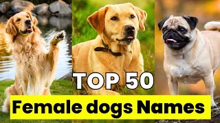 Female Dog Name  Top 50 Male Dog Names  Unique Female Dog Names [upl. by Casanova]