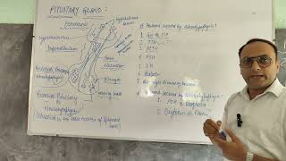 PITUITARY GLAND IN DETAILS PART 1 [upl. by Saberio]