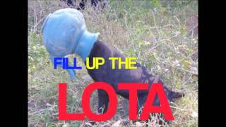 Diary of a bad man 8  Lota Official Music Video Lyrics HD 1080p [upl. by Fein869]