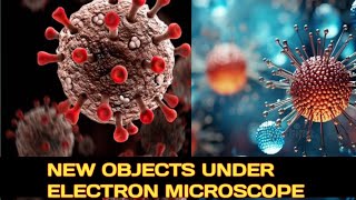 objects under electron microscope [upl. by Nasah725]