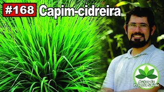 Autor da própria Saúde Capim Cidreira [upl. by Phoebe86]