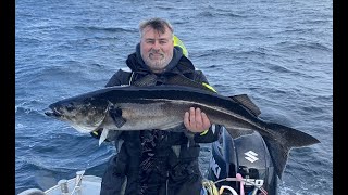 Fishing Lofoten Norway Halibut amp Coalfish [upl. by Anoved29]