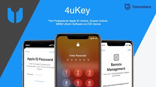 4uKey Full Guide 2020  The Best iPhone Unlocker Software [upl. by Gnav]