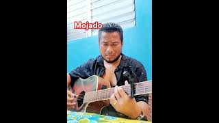 Cover Ricardo Arjona Mojado [upl. by Illil]