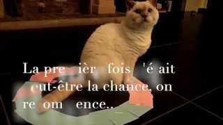 Hikat lexpérience des chats et les ronds [upl. by Anelis]